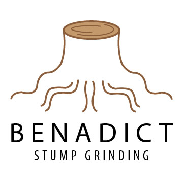 Benedict Stump Logo